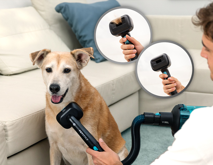 Casas con mascotas, es vuestro aspirador