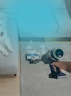 Aspiradores verticales